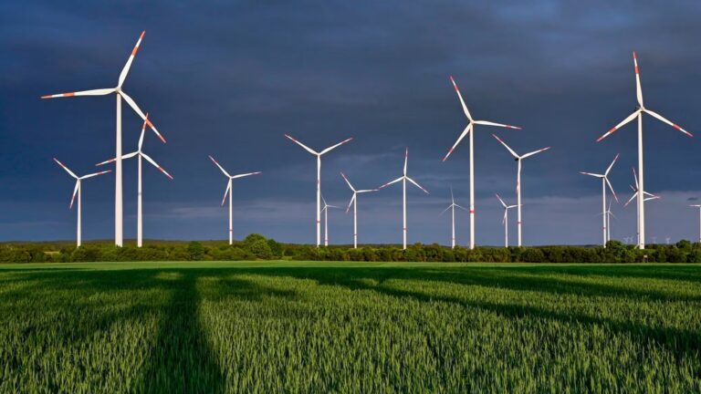 Schalke 04: Wer wird die neue Nummer 1? Karius, Golz oder ein Überraschungskandidat Burgenland fordert faire Aufteilung von EU-Klimastrafen nach Klimaleistung